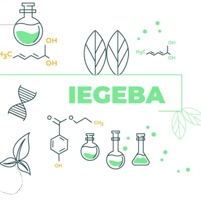 IEGEBA-img1