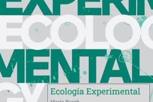 flyer Eco Experimental