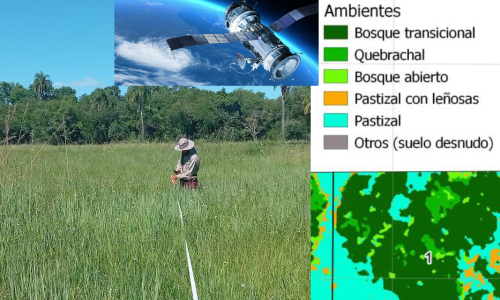 Relevamientos de biota y análisis ambientales